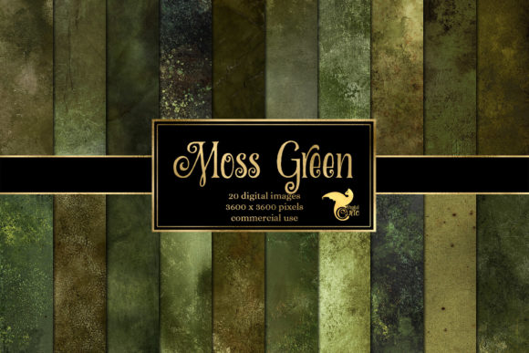Download Moss Green Textures - Premium Resources